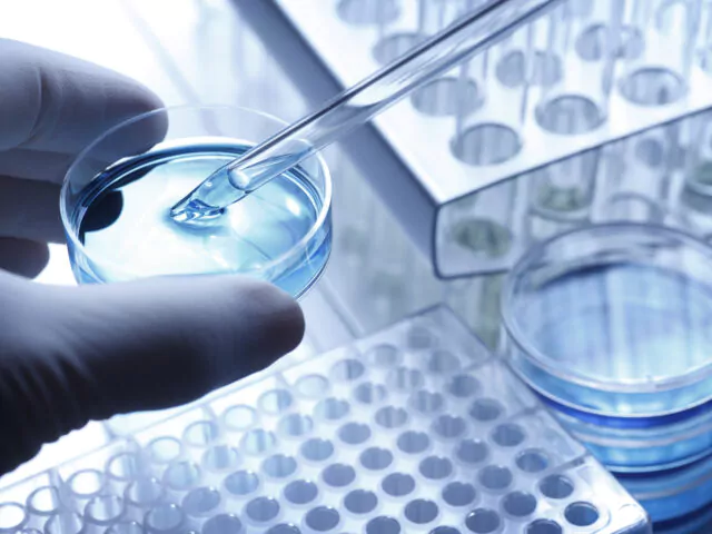 A scientist holds a petri dish uses a pipette to remove a sample of solution. In the background is a stack of petri dishes and two test tube racks which suggest the sterile environment of a laboratory.  The hand is covered with a latex glove. A  cool blue tone is the dominant color scheme.